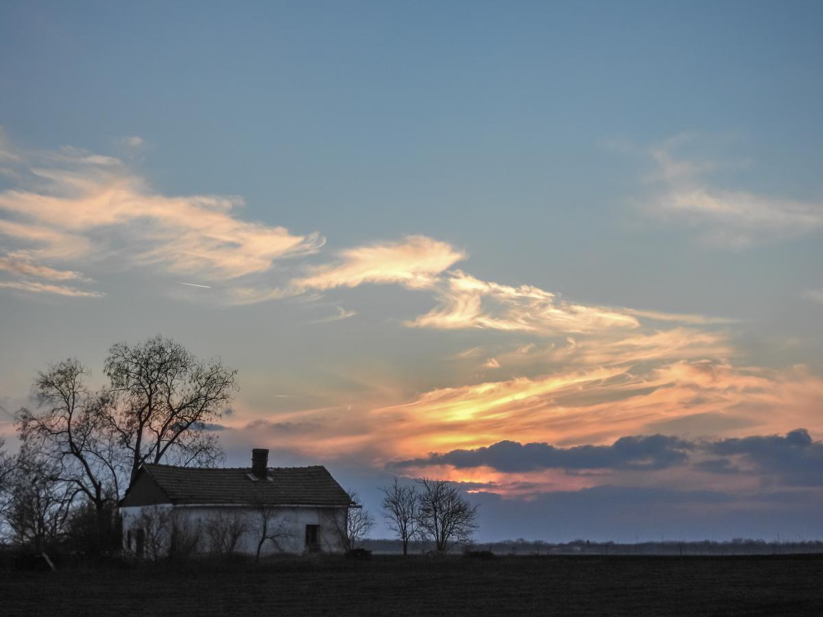 Koncz-Bisztricz Tamás