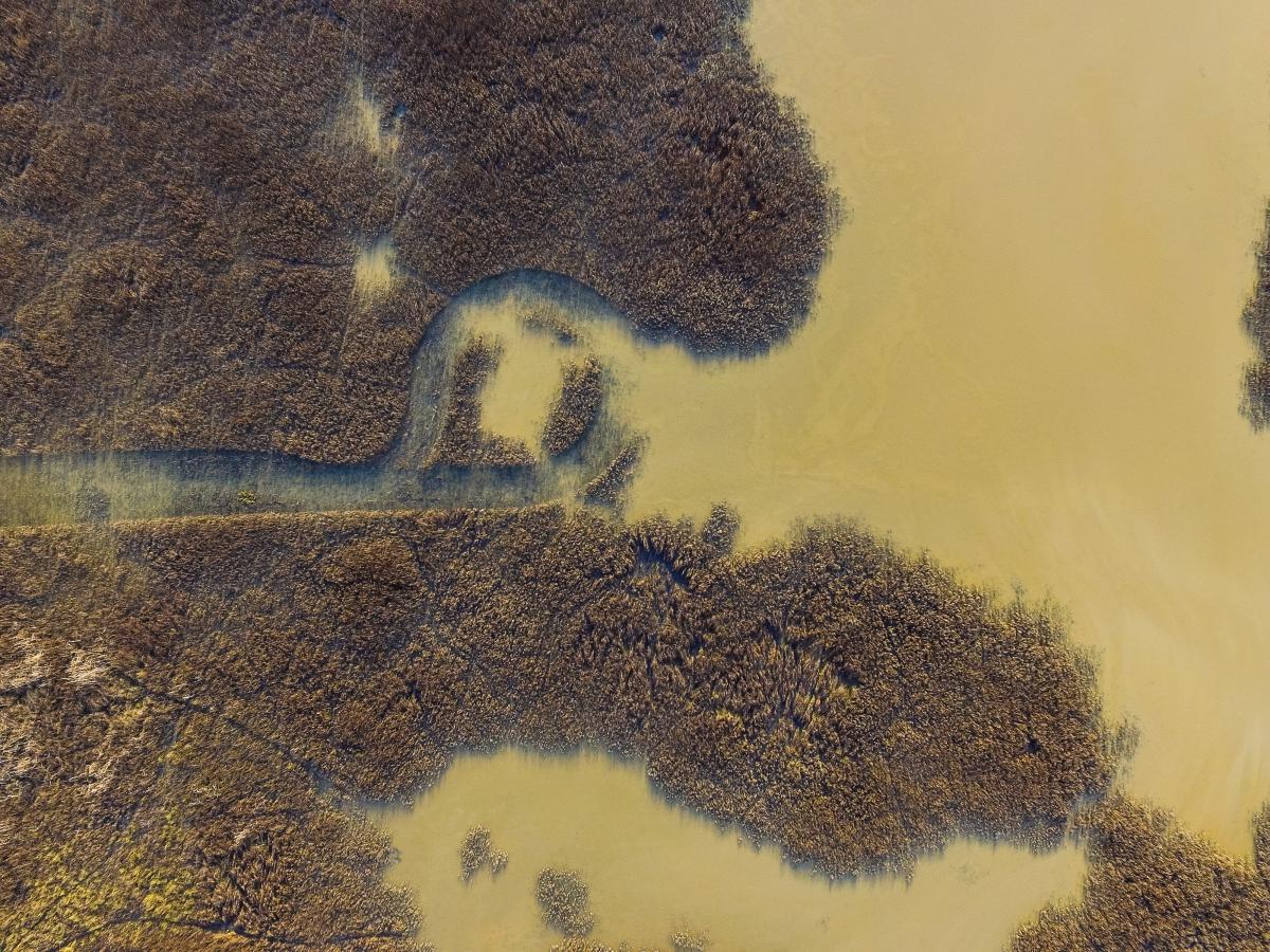 Koncz-Bisztricz Tamás