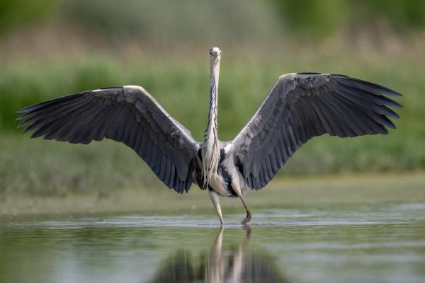 Megérkeztem, itt vagyok!