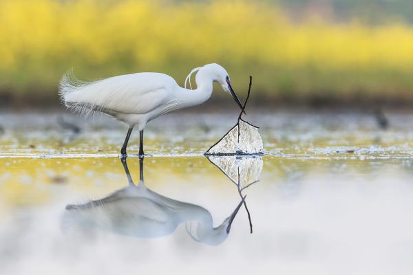 &#39;CSOK&#39; keretén belül