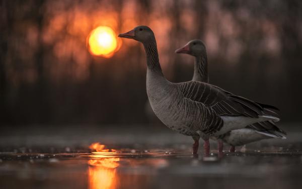 Hajnalban még a nap is más!