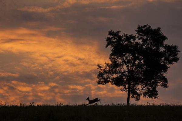 Aki bújt aki nem... megyek...