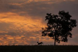 Aki bújt aki nem... megyek... Aki bújt aki nem... megyek...