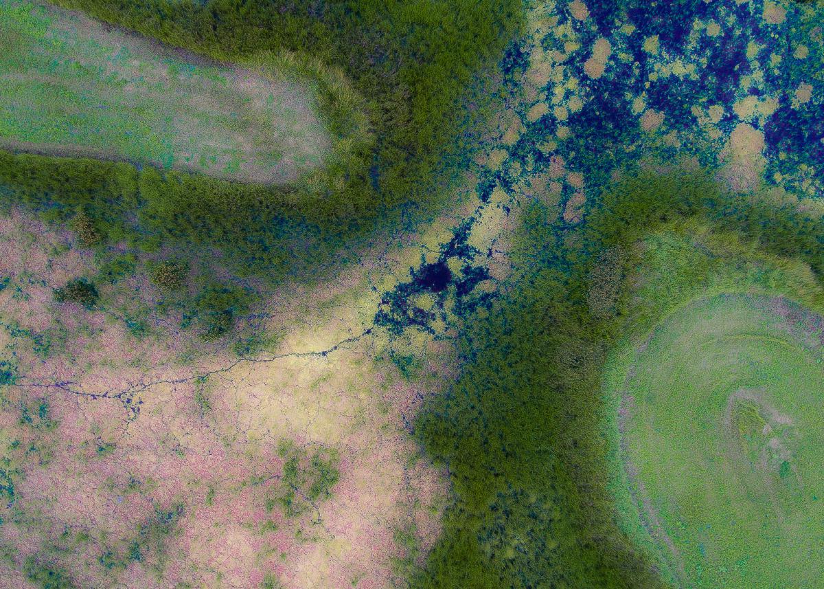 Koncz-Bisztricz Tamás