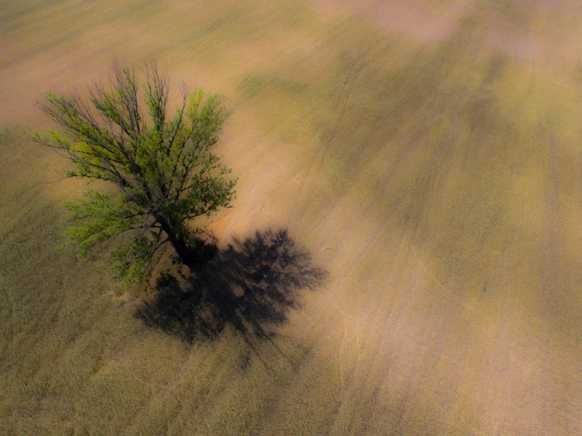 Koncz-Bisztricz Tamás