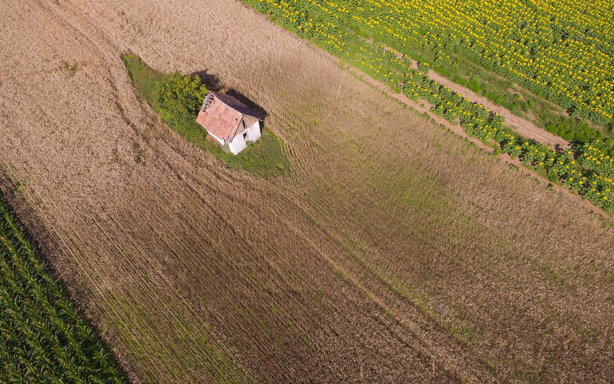 Koncz-Bisztricz Tamás