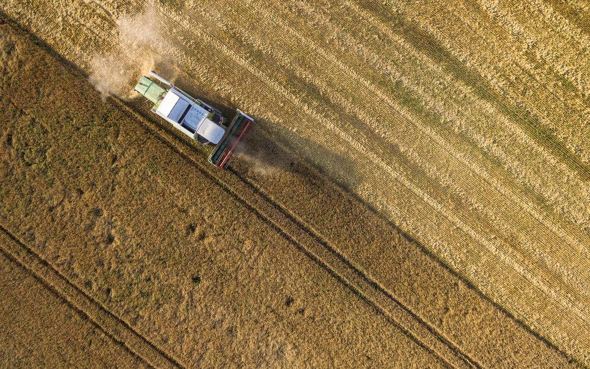 Koncz-Bisztricz Tamás