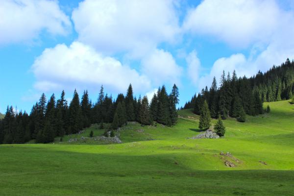 A fény és árnyák harca