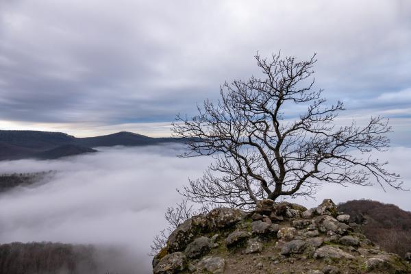 Magányosan