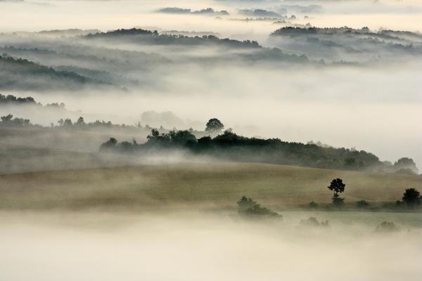 A nyár ködöt sóhajtott, ősz lett belőle.
