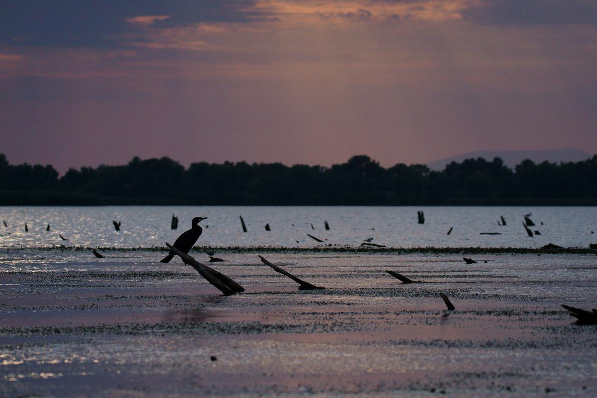 Kalmár Lajos Gábor