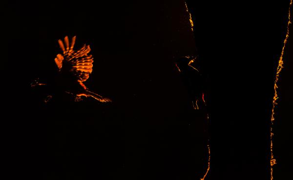 Etetünk és építünk