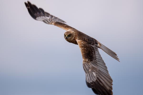 Őrjárat az égen...