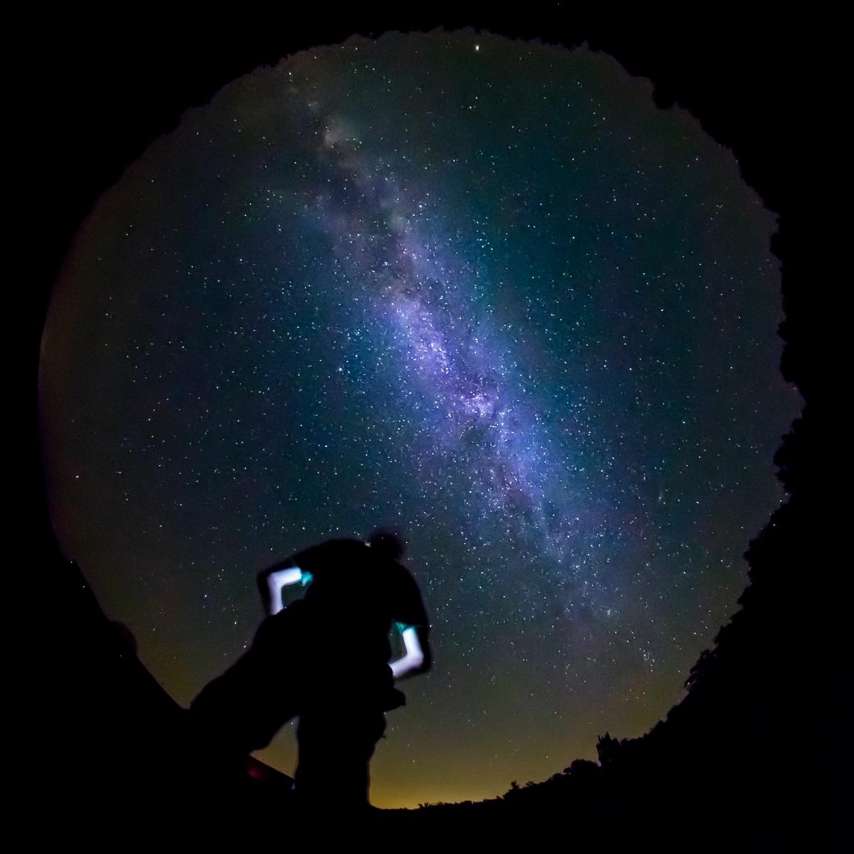 Koncz-Bisztricz Tamás