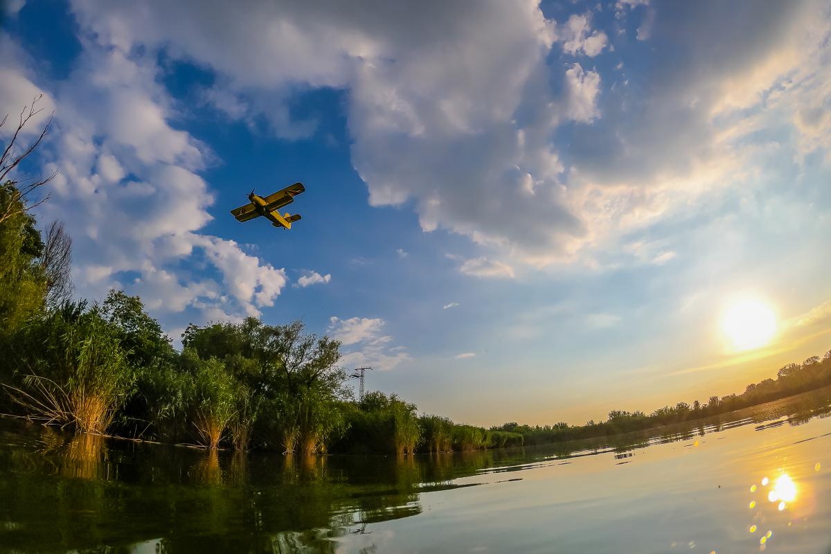 Koncz-Bisztricz Tamás