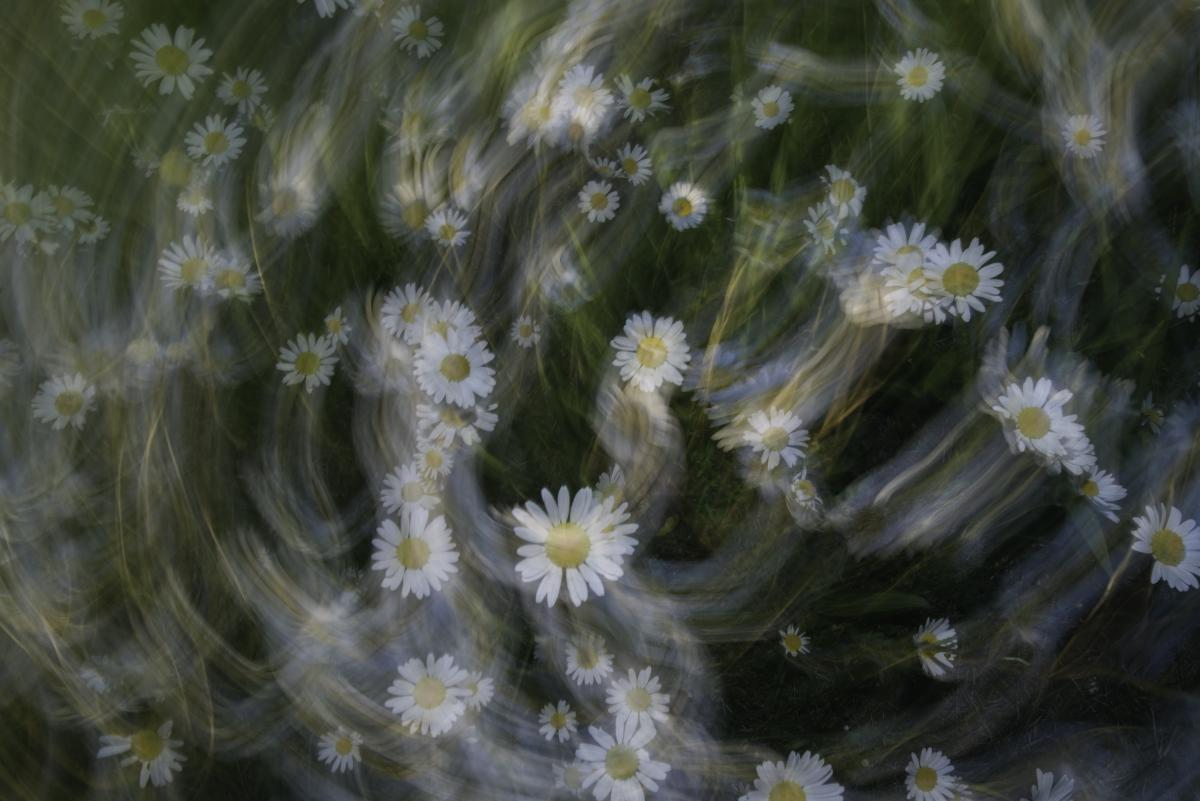 Darányiné Bakos Éva