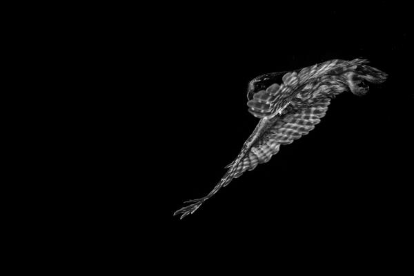 Repülés a végtelenbe