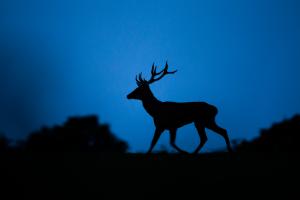 Szeptember Szeptember