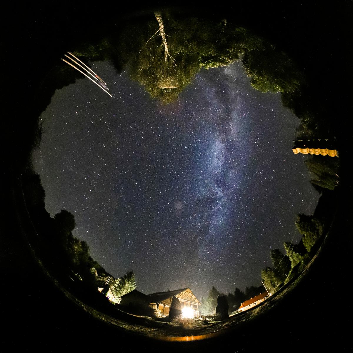 Koncz-Bisztricz Tamás