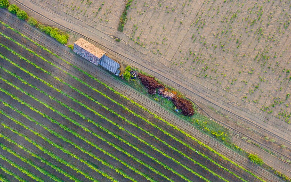 Koncz-Bisztricz Tamás