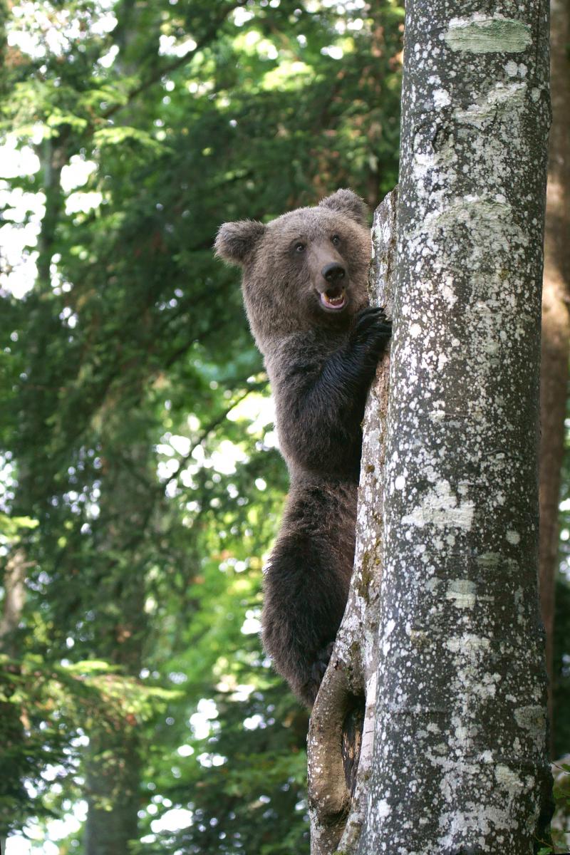 Kalmár Lajos Gábor