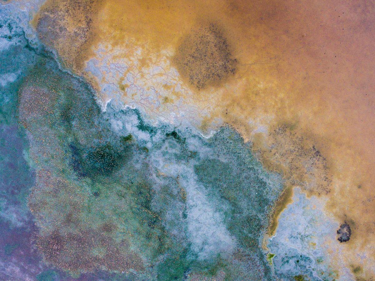 Koncz-Bisztricz Tamás