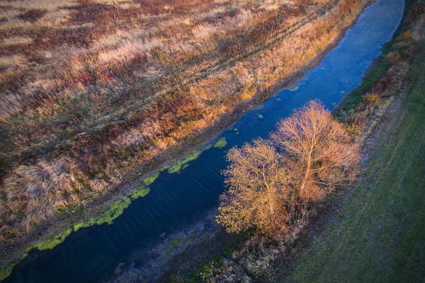 Együtt az alkonyatban
