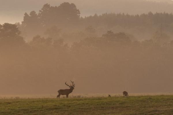 Szeptemberi életkép