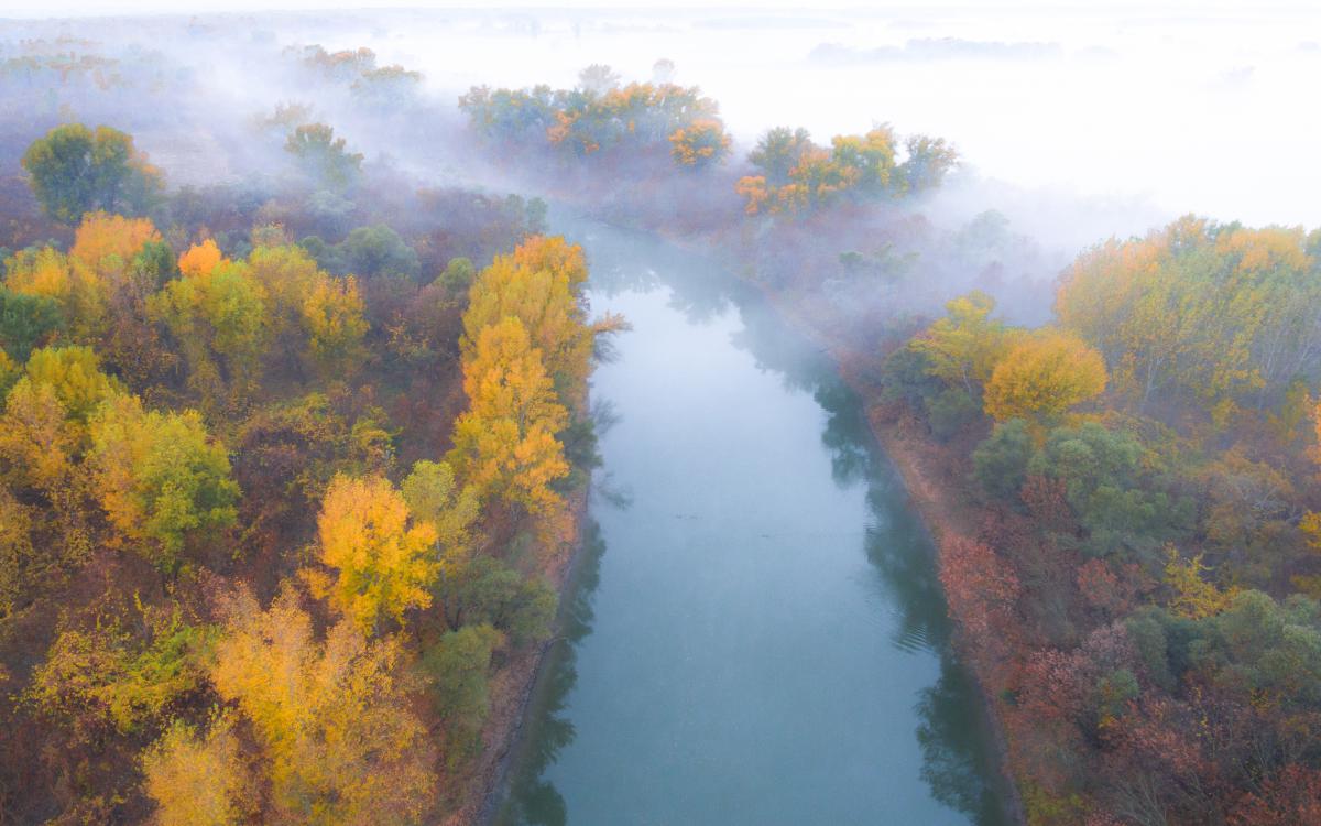 Koncz-Bisztricz Tamás
