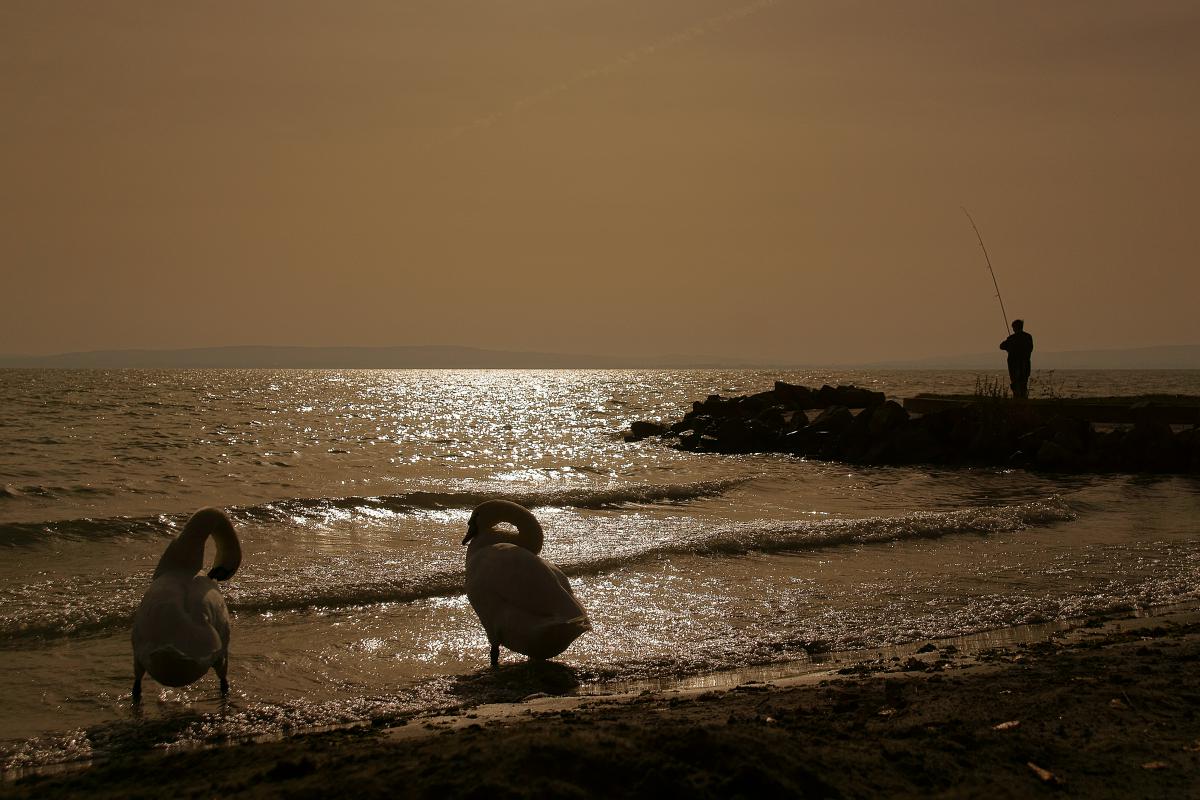 Kalmár Lajos Gábor