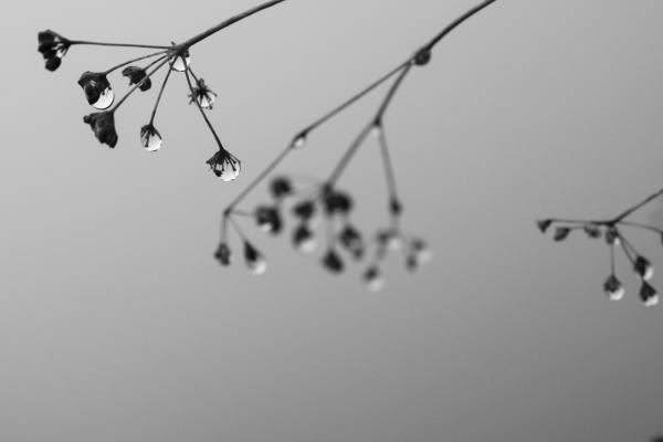 Harmatos őszi momentum