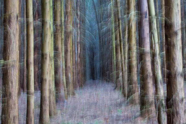 Kapu egy mésik világba