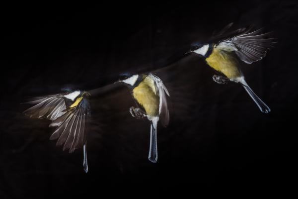 Pillanatok a levegőben