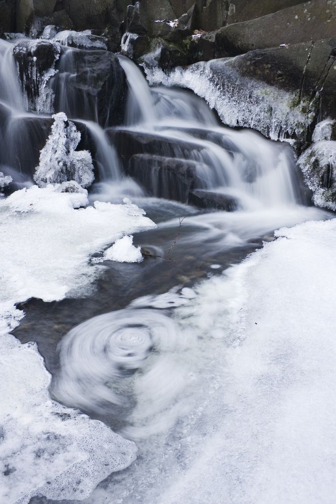 Sándor-Tóth Zsuzsanna