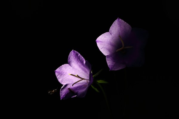 Fényben és árnyékban