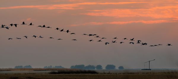 Hortobágyi hangulat