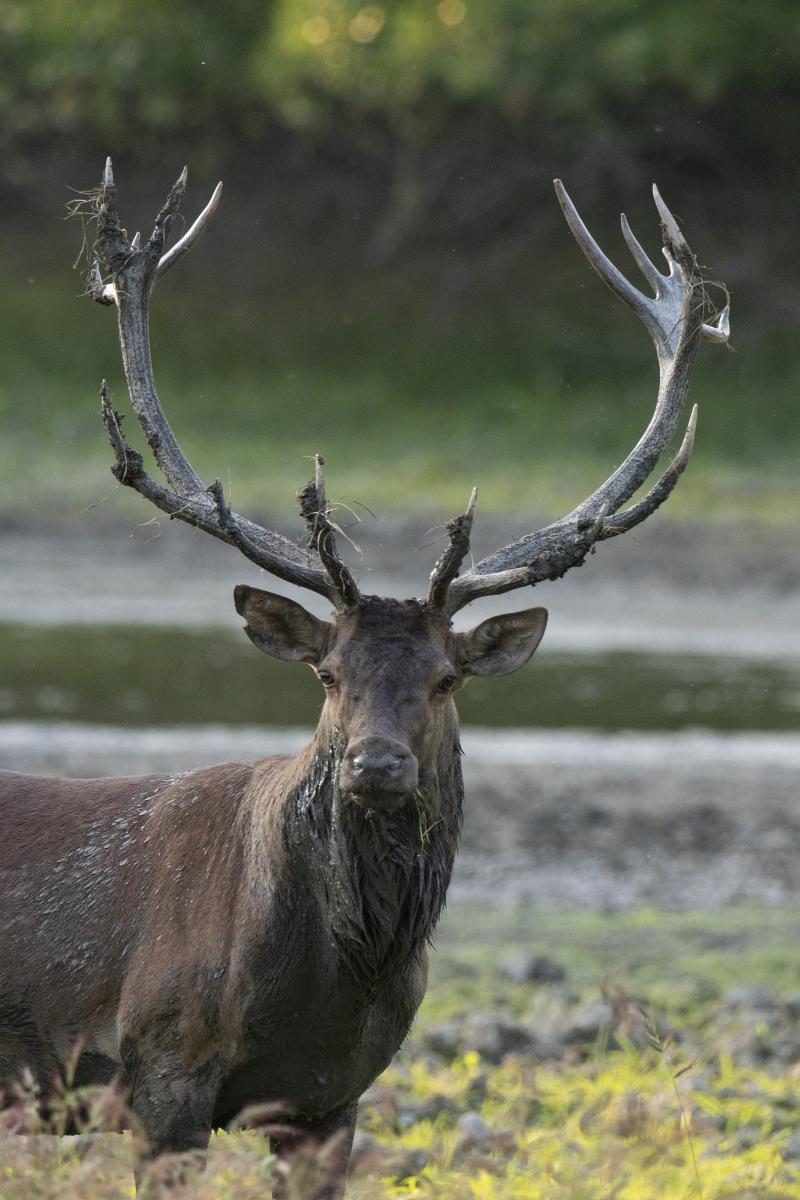 Kalmár Lajos Gábor
