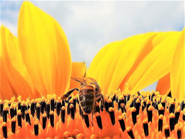 Hagyjál,.....most dolgozok!!!