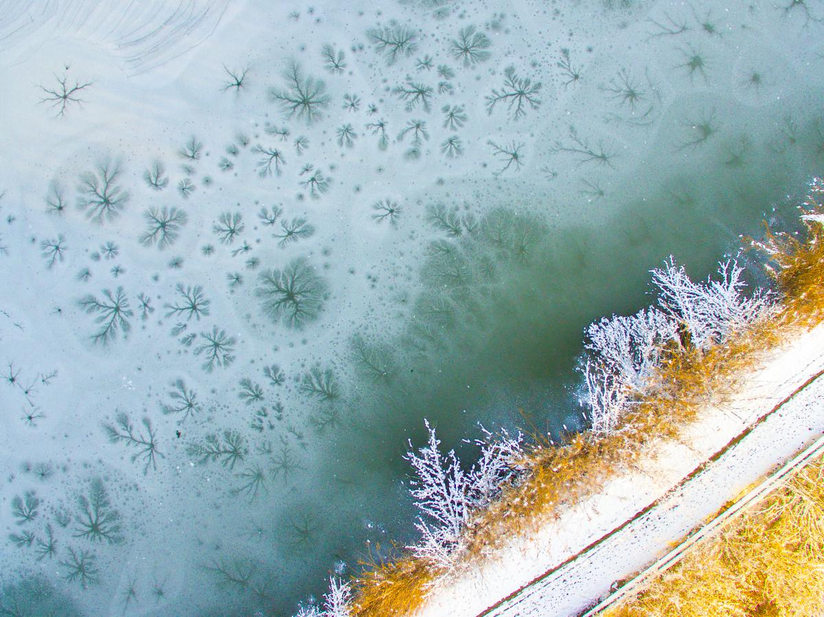 Koncz-Bisztricz Tamás