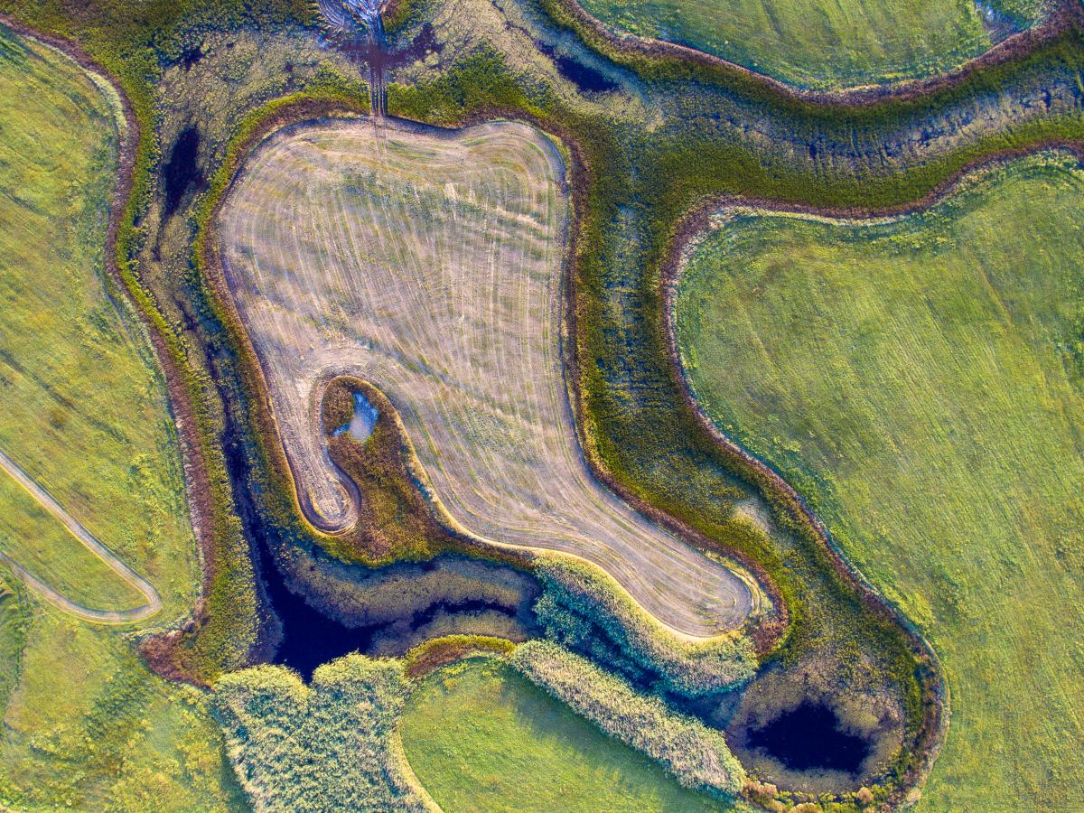 Koncz-Bisztricz Tamás