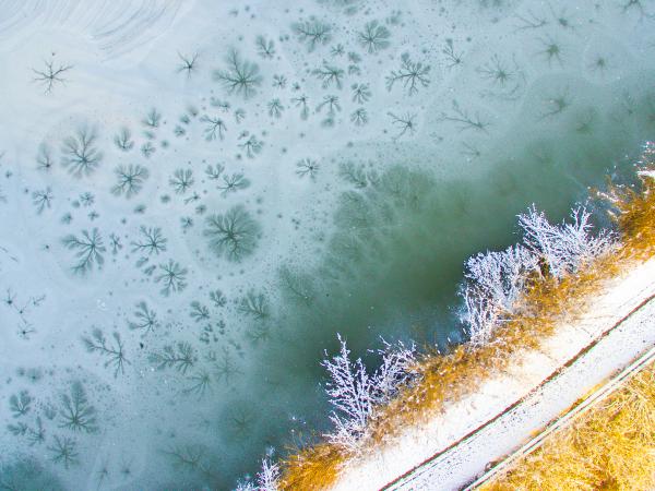 Csillagok a Bőrhíd mellett