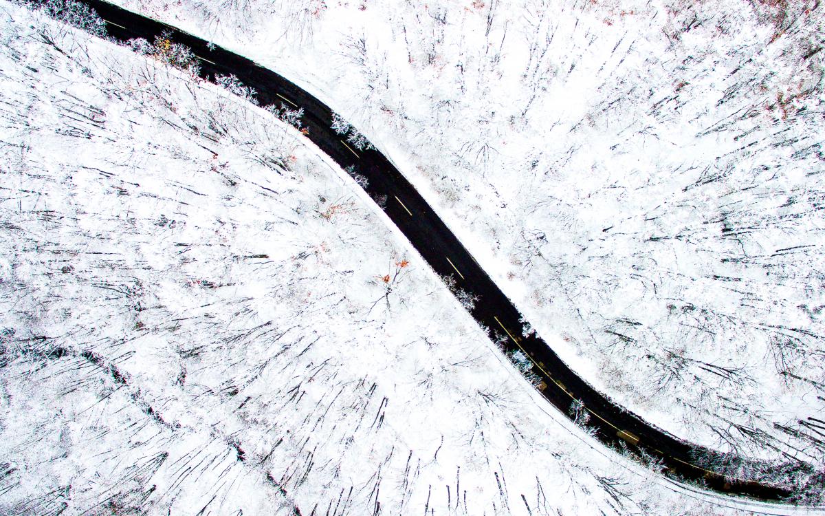 Koncz-Bisztricz Tamás