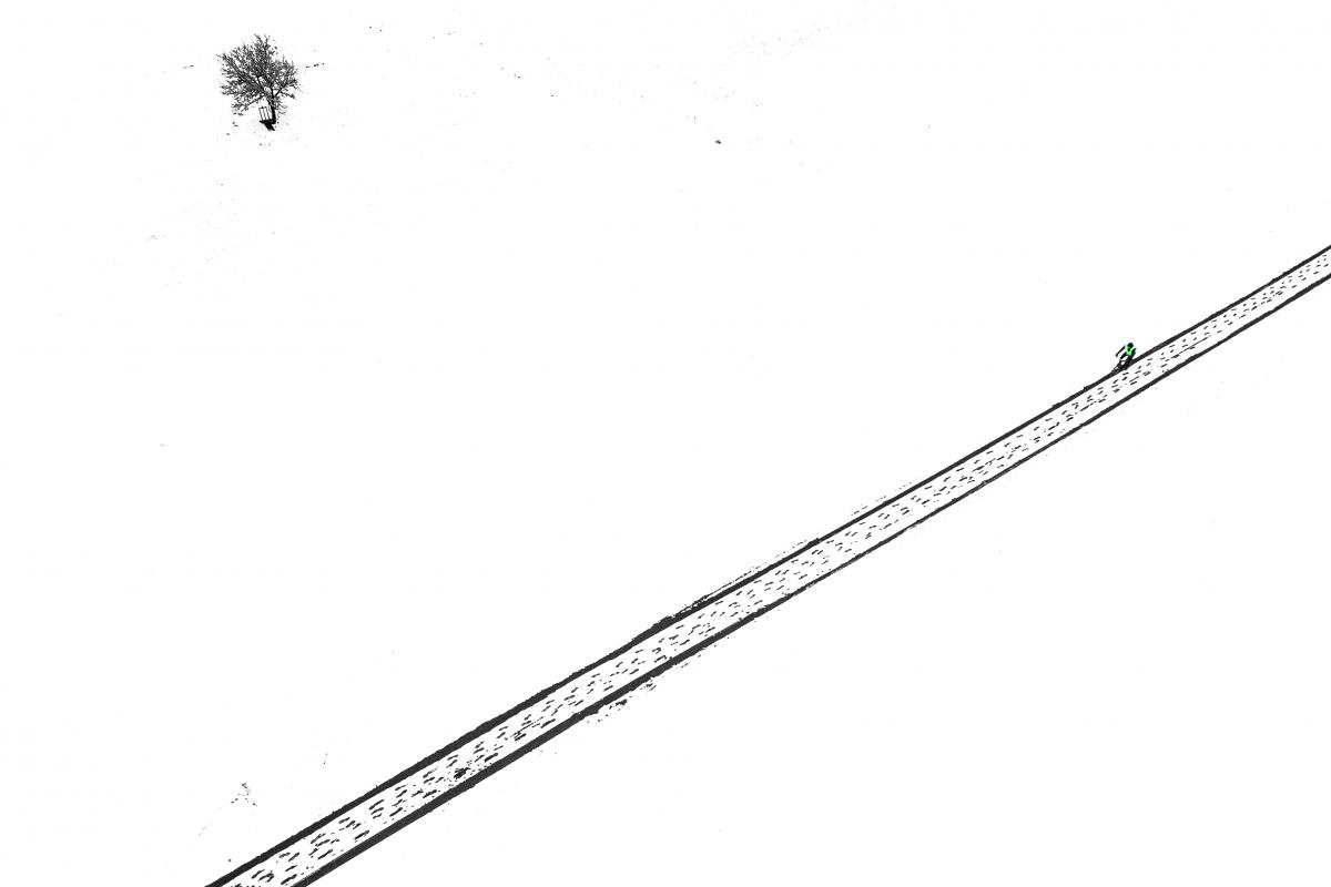 Koncz-Bisztricz Tamás