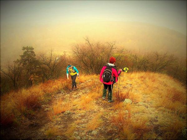 Le is út-fel is út!!