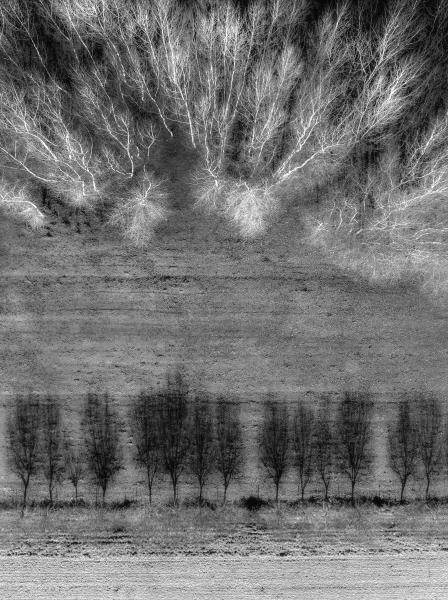 Árnyék és valóság