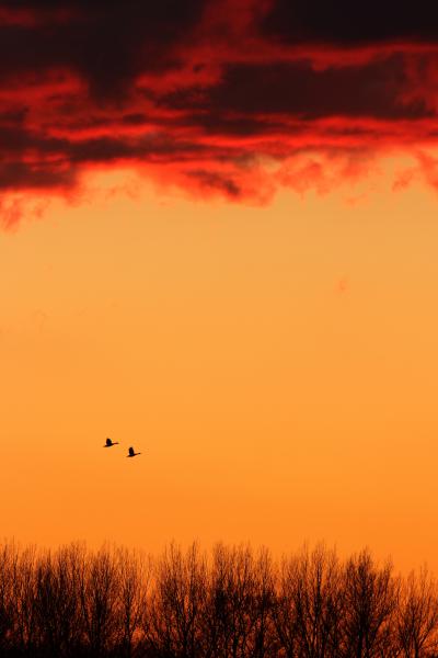 Ég és föld között