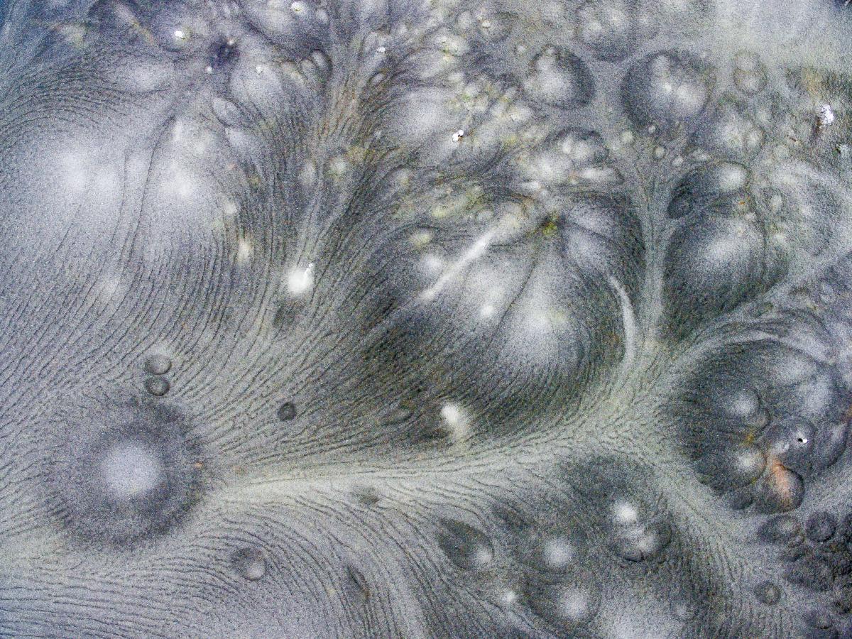 Koncz-Bisztricz Tamás