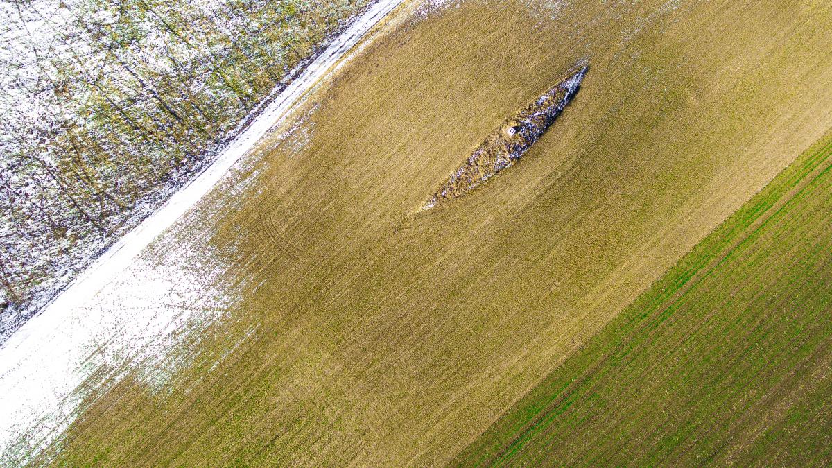 Koncz-Bisztricz Tamás