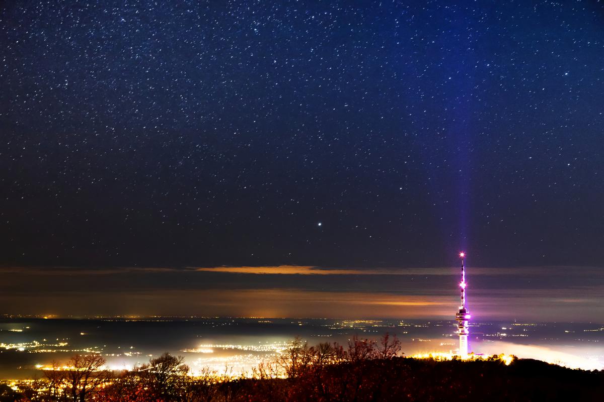 Koncz-Bisztricz Tamás