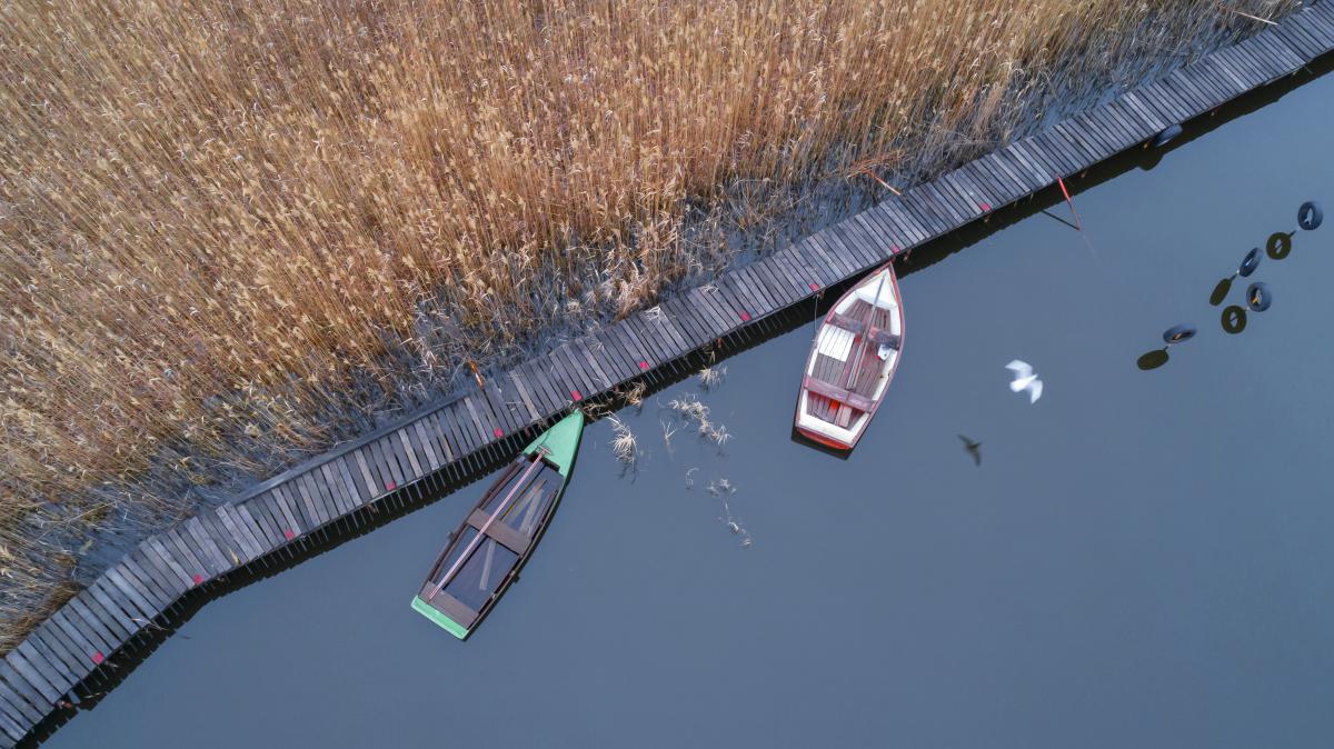 Gaál Zoltán Péter